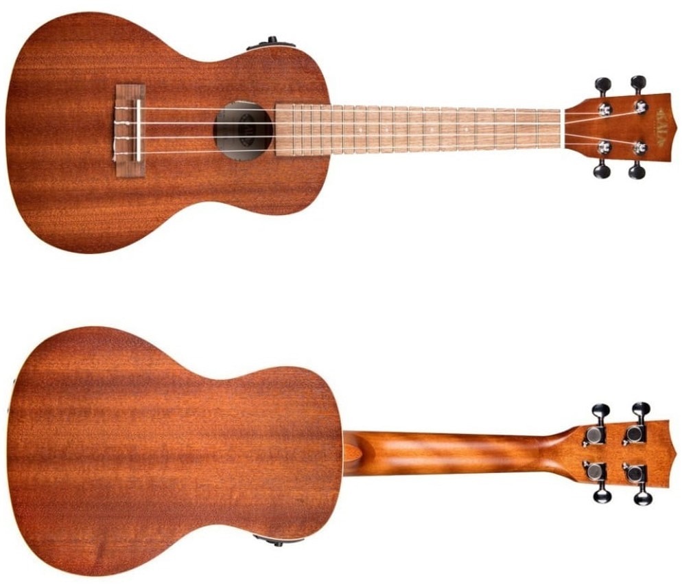 The Kala KA-CE Ukulele is probably the most complete cheap option for beginners.